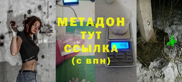 гидра Михайловка