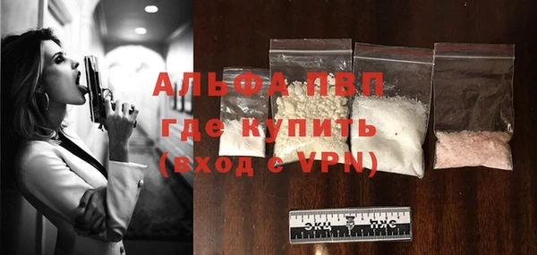 гидра Михайловка