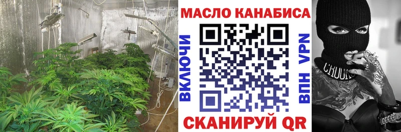 Купить Новая Ладога Дистиллят ТГК THC oil