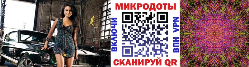 Купить  Новая Ладога  Галлюциногенные грибы Psilocybe 
