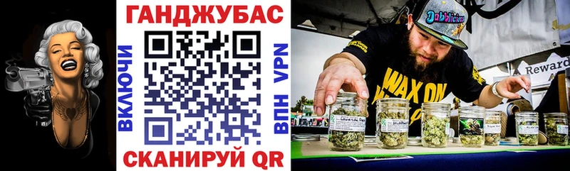 Купить Новая Ладога Канабис Amnesia
